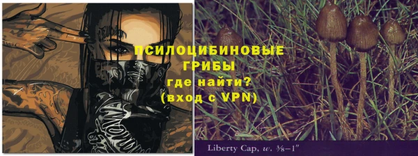 хмурый Кукмор