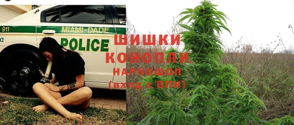 хмурый Кукмор