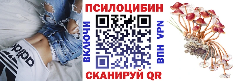 Псилоцибиновые грибы Psilocybine cubensis  Купить  Петров Вал 